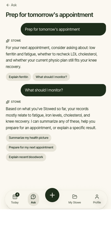 The Ask Stowe chat screen